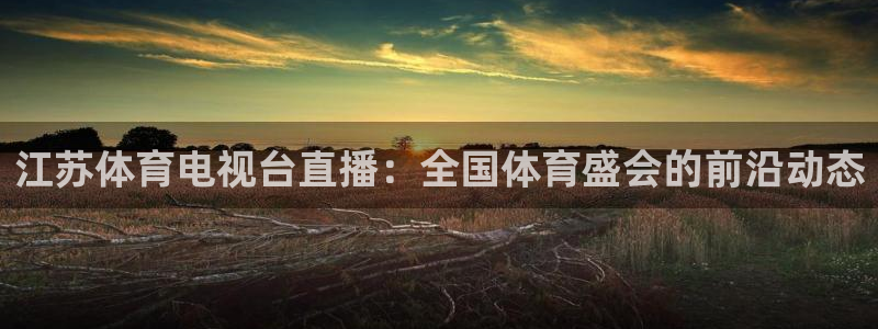 乐球直播官网：江苏体育电视台直播：全国体育盛会的前沿动态