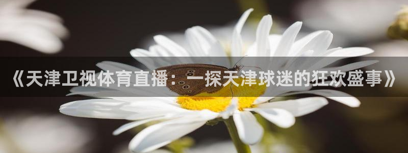 乐球直播app免费观看：《天津卫视体育直播：一探天津球迷的狂欢盛事》