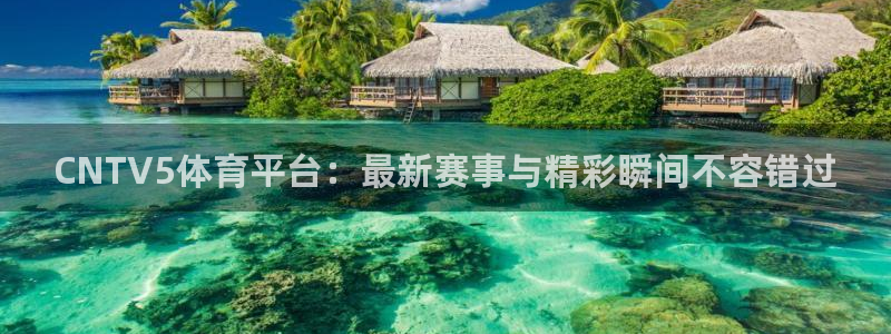 乐球直播app下载：CNTV5体育平台：最新赛事与精彩瞬间不容错过