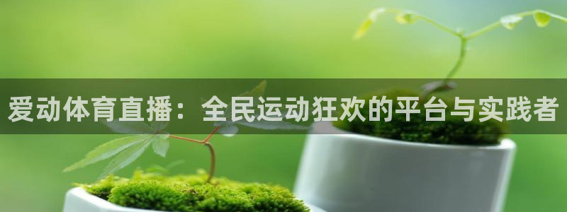 乐球直播免费入口：爱动体育直播：全民运动狂欢的平台与实践者