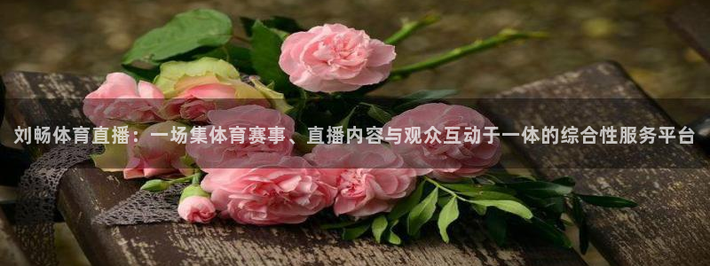 乐球直播全球赛事免费高清：刘畅体育直播：一场集体育赛事、直播内容与观众互动于一体的综合性服务平台