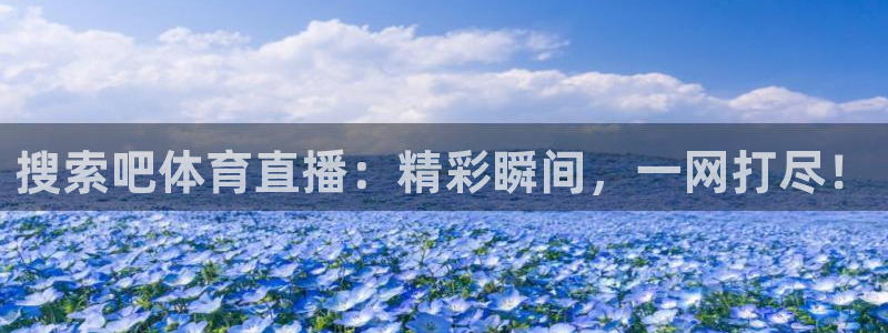 乐球直播在线观看免费高清：搜索吧体育直播：精彩瞬间，一网打尽！