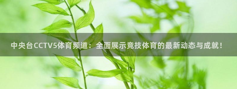 乐球直播在线观看：中央台CCTV5体育频道：全面展示竞技体育的最新动态与成就！