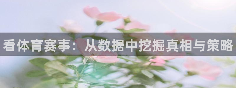 乐球直播免费观看全部：看体育赛事：从数据中挖掘真相与策略