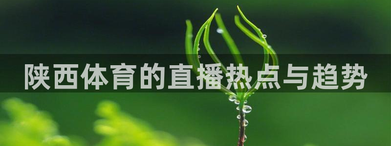 乐球直播免费入口：陕西体育的直播热点与趋势