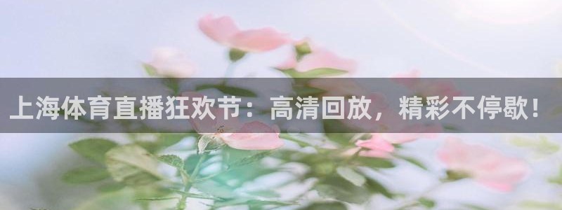 乐球直播高清：上海体育直播狂欢节：高清回放，精彩不停歇！
