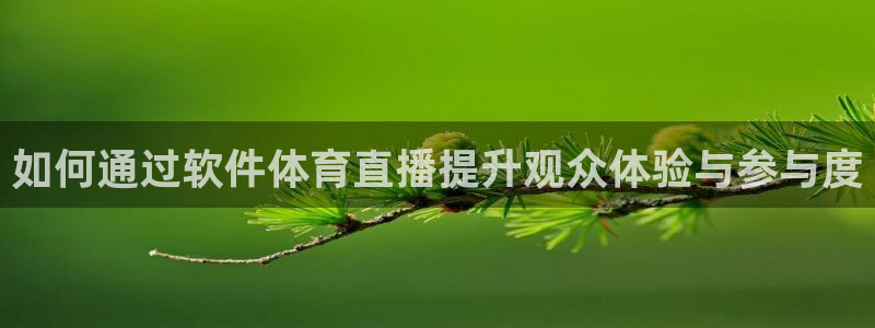 乐球直播足球：如何通过软件体育直播提升观众体验与参与度