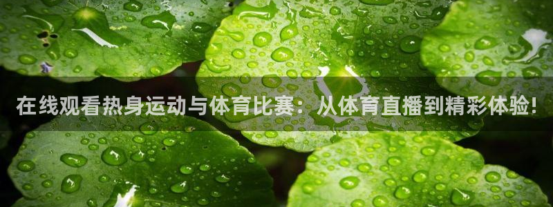 乐球直播体育：在线观看热身运动与体育比赛：从体育直播到精彩体验!