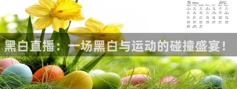 乐球直播nba免费高清观看：黑白直播：一场黑白与运动的碰撞盛宴！