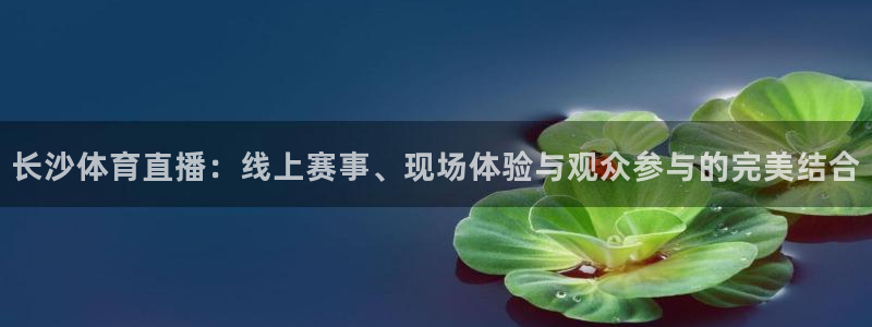 乐球直播免费高清观看nba：长沙体育直播：线上赛事、现场体验与观众参与的完美结合